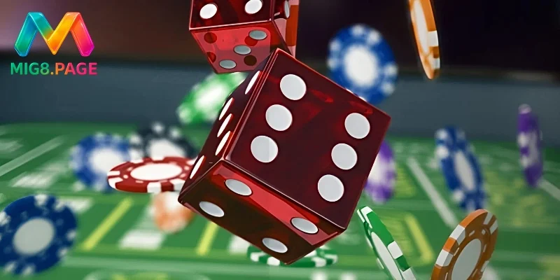 Craps là gì? Tất tần tật về trò chơi Craps đầy hấp dẫn 3 Những loại cược và tỷ lệ cược trong Craps là gì?