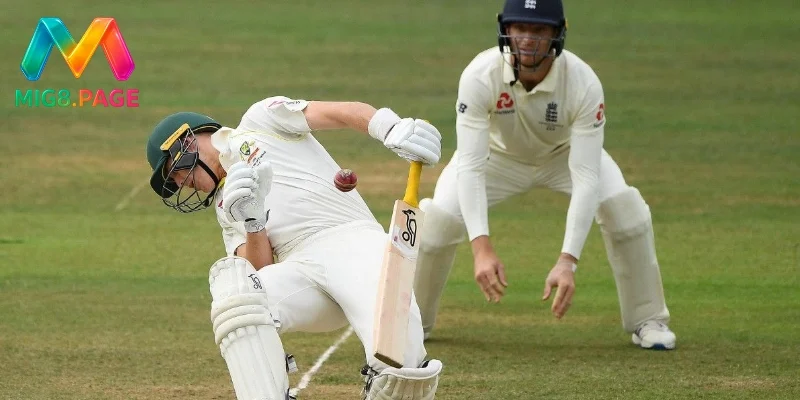 Cricket là gì ? Kinh nghiệm cá cược Cricket hữu ích nhất 2025 3 Những kinh nghiệm cá cược Cricket với từng cửa đặt cược khác nhau