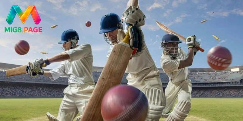 Cricket là gì ? Kinh nghiệm cá cược Cricket hữu ích nhất 2025 2 Tìm hiểu về luật chơi Cricket chi tiết